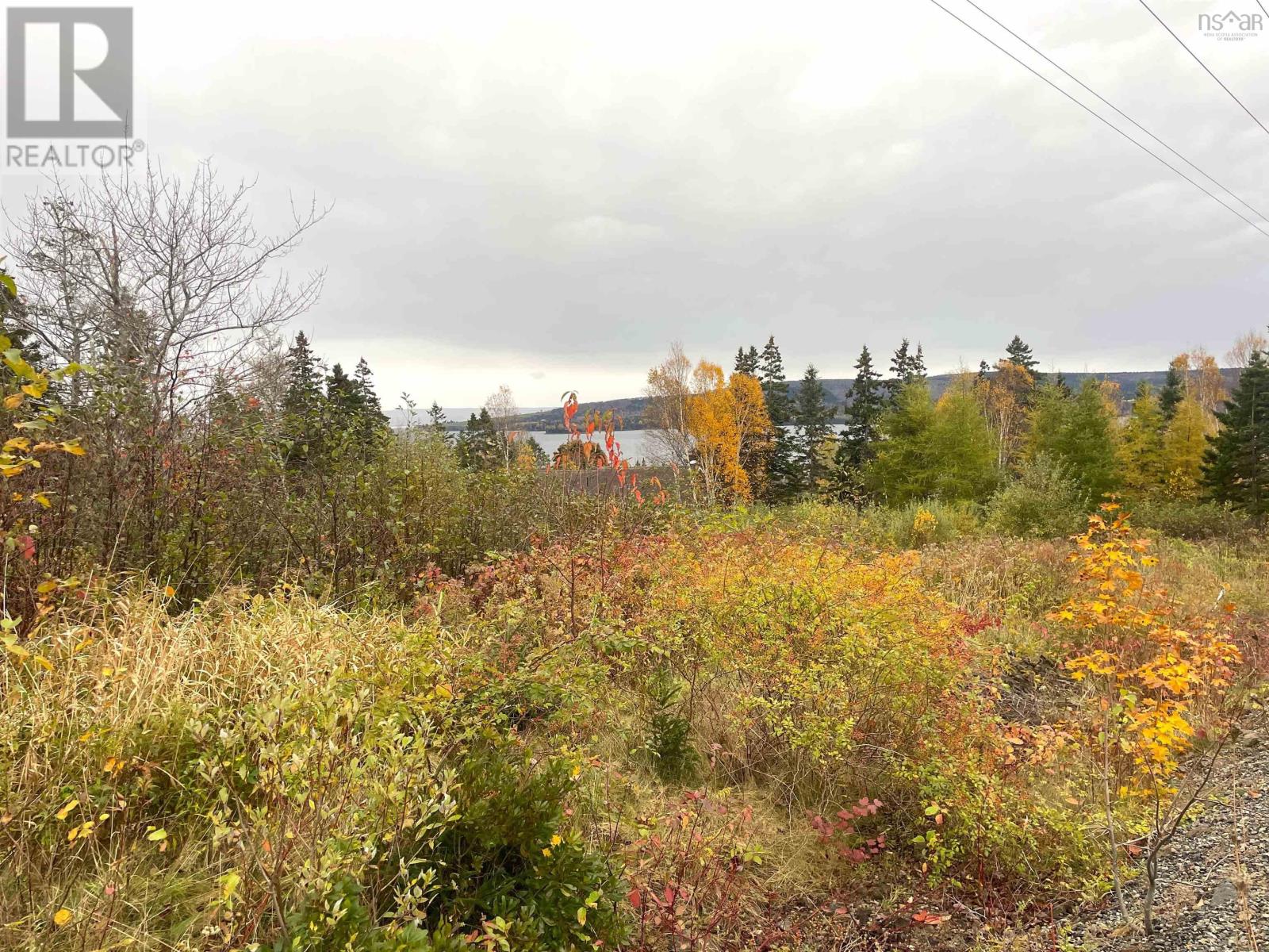 Alderwood Lane, Baddeck, Nova Scotia  B0E 1H0 - Photo 4 - 202415383