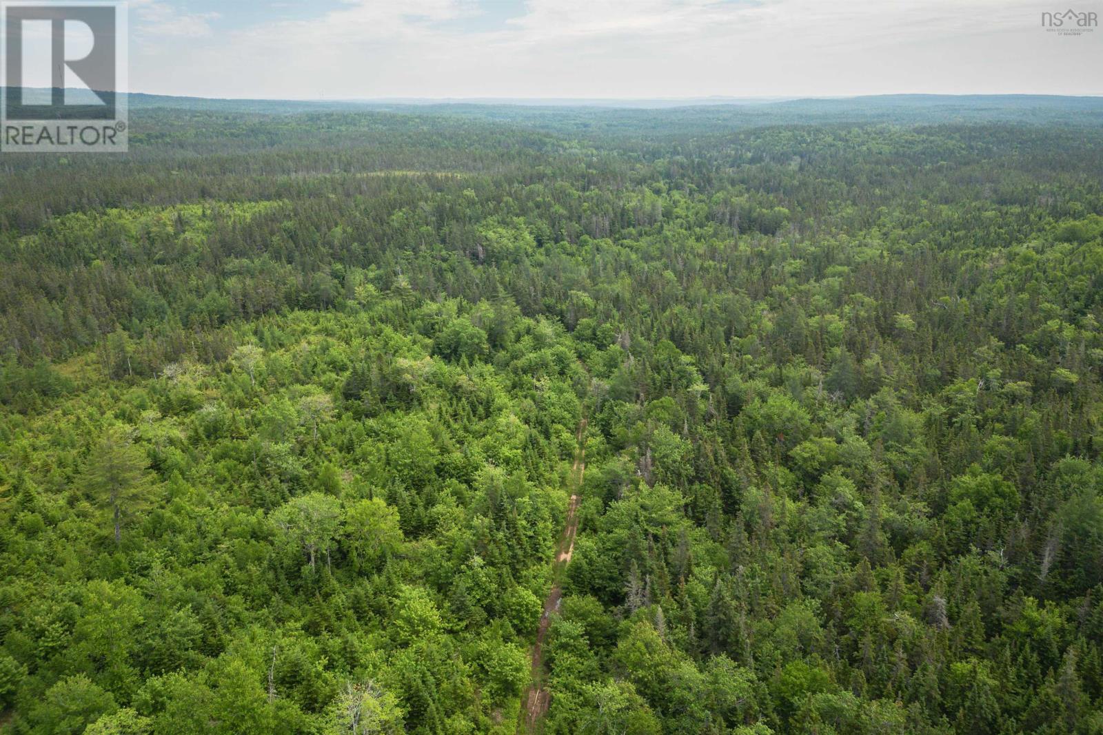 197 + / - Back Road, Thibeauville, Nova Scotia  B0E 1V0 - Photo 10 - 202415385