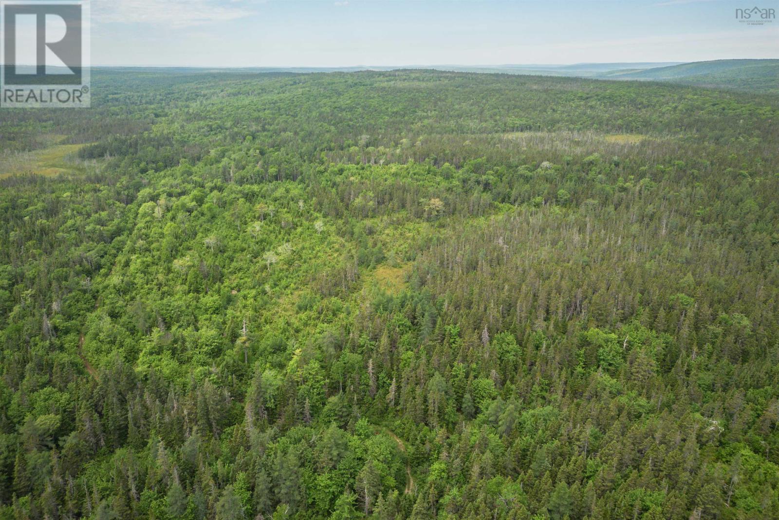 197 + / - Back Road, Thibeauville, Nova Scotia  B0E 1V0 - Photo 11 - 202415385