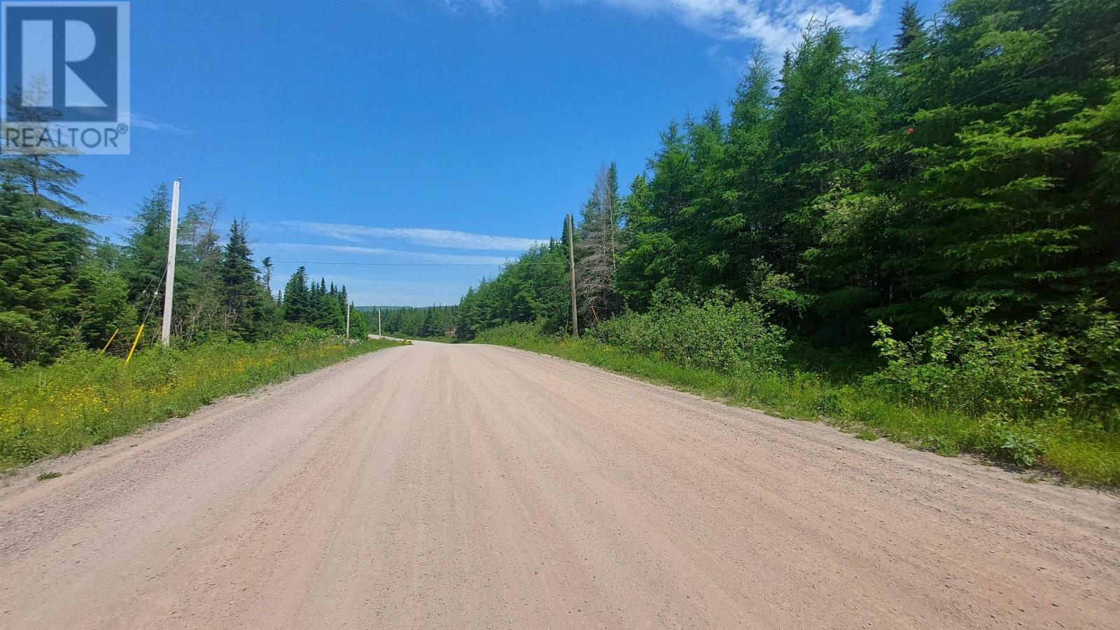 197 + / - Back Road, Thibeauville, Nova Scotia  B0E 1V0 - Photo 13 - 202415385