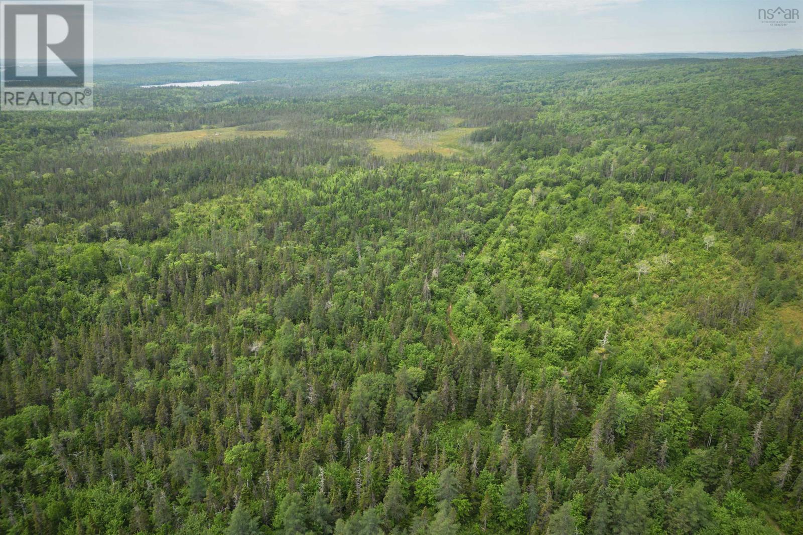 197 + / - Back Road, Thibeauville, Nova Scotia  B0E 1V0 - Photo 15 - 202415385