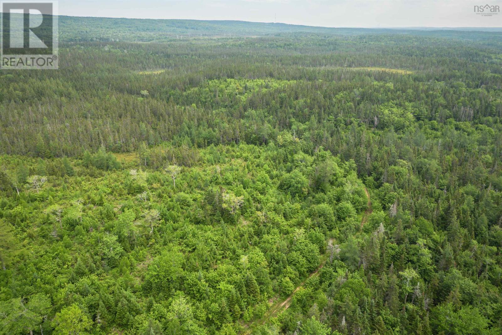 197 + / - Back Road, Thibeauville, Nova Scotia  B0E 1V0 - Photo 6 - 202415385