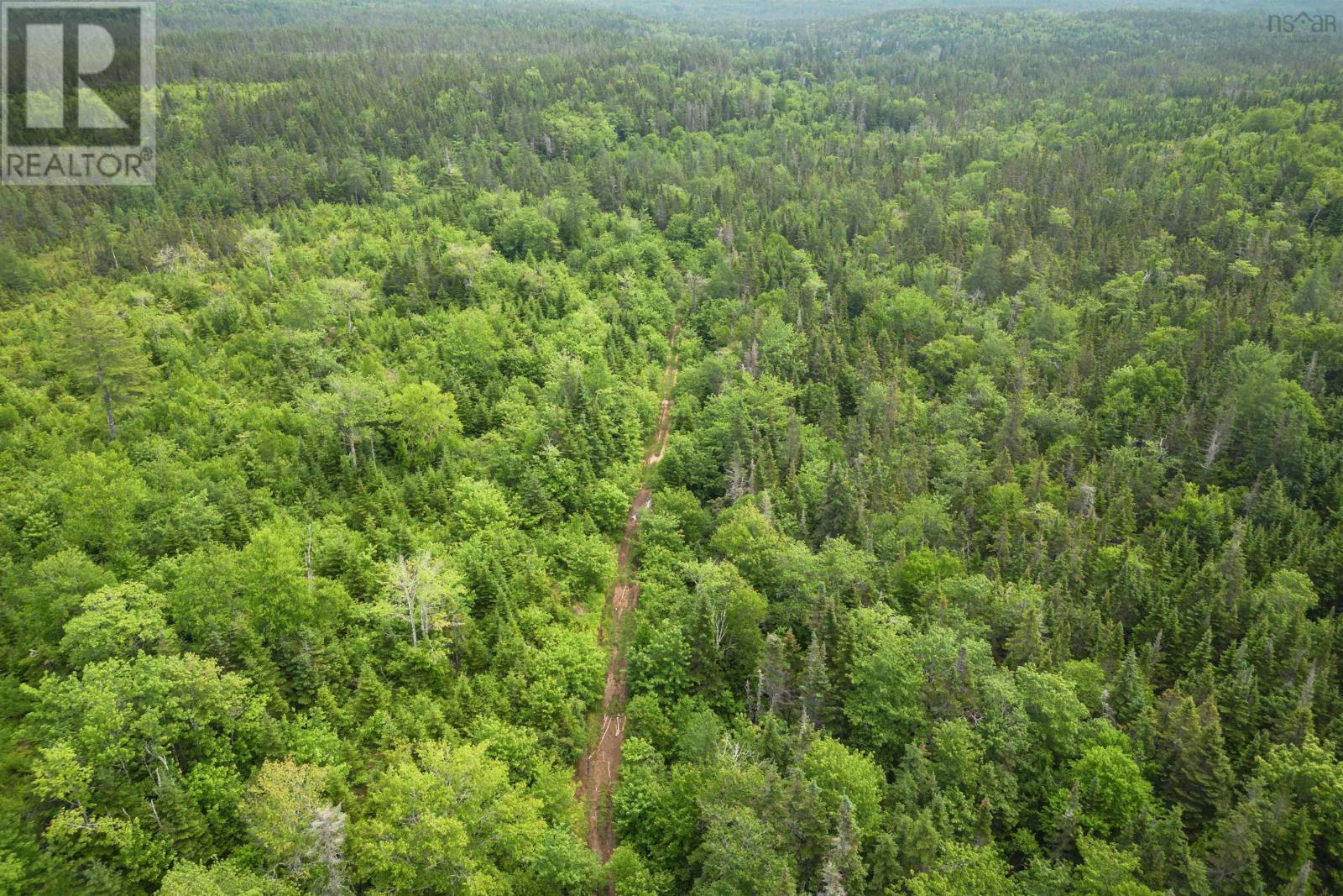 197 + / - Back Road, Thibeauville, Nova Scotia  B0E 1V0 - Photo 7 - 202415385