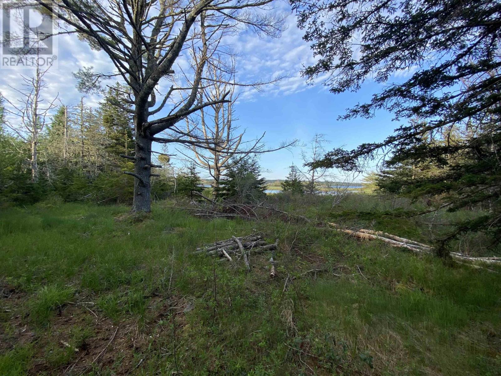 Lot 1 West Sable Road, West Middle Sable, Nova Scotia  B0T 1V0 - Photo 11 - 202415558