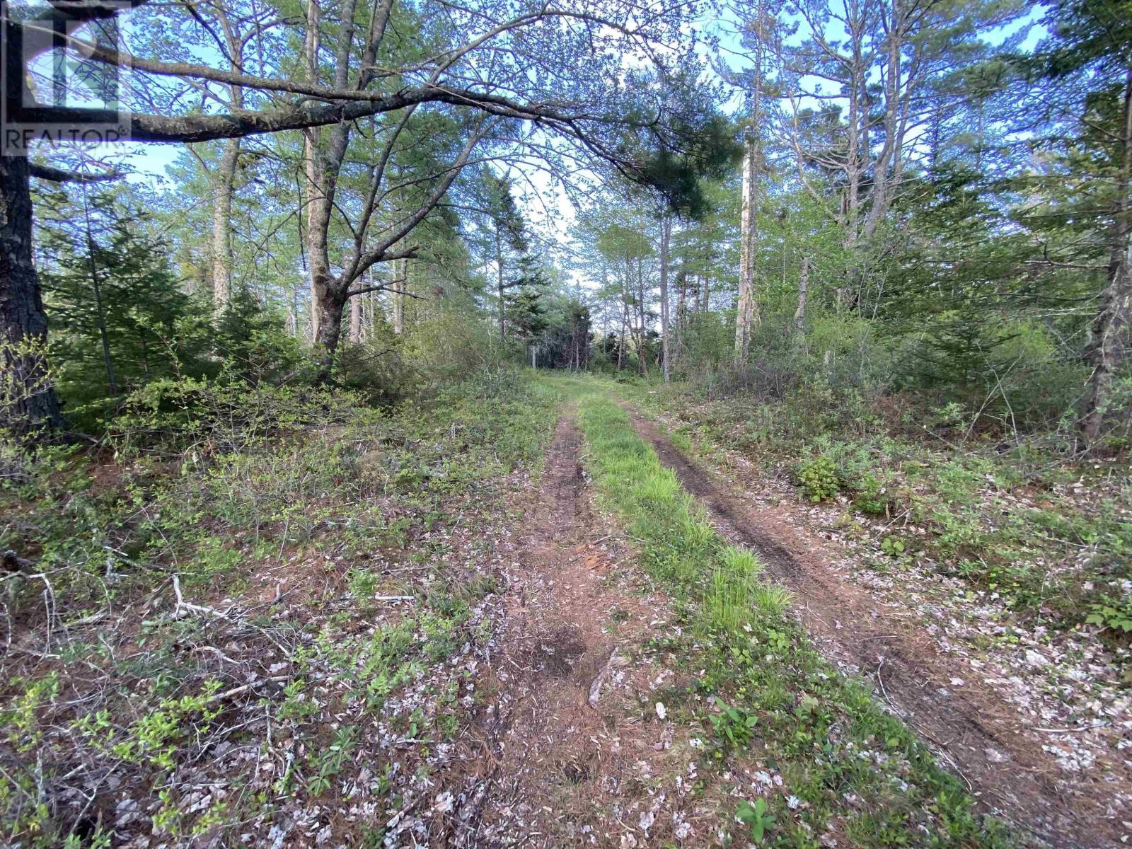 Lot 1 West Sable Road, West Middle Sable, Nova Scotia  B0T 1V0 - Photo 13 - 202415558