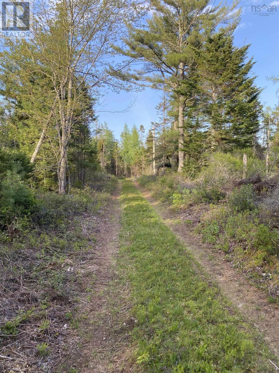 Lot 1 West Sable Road, West Middle Sable, Nova Scotia  B0T 1V0 - Photo 14 - 202415558