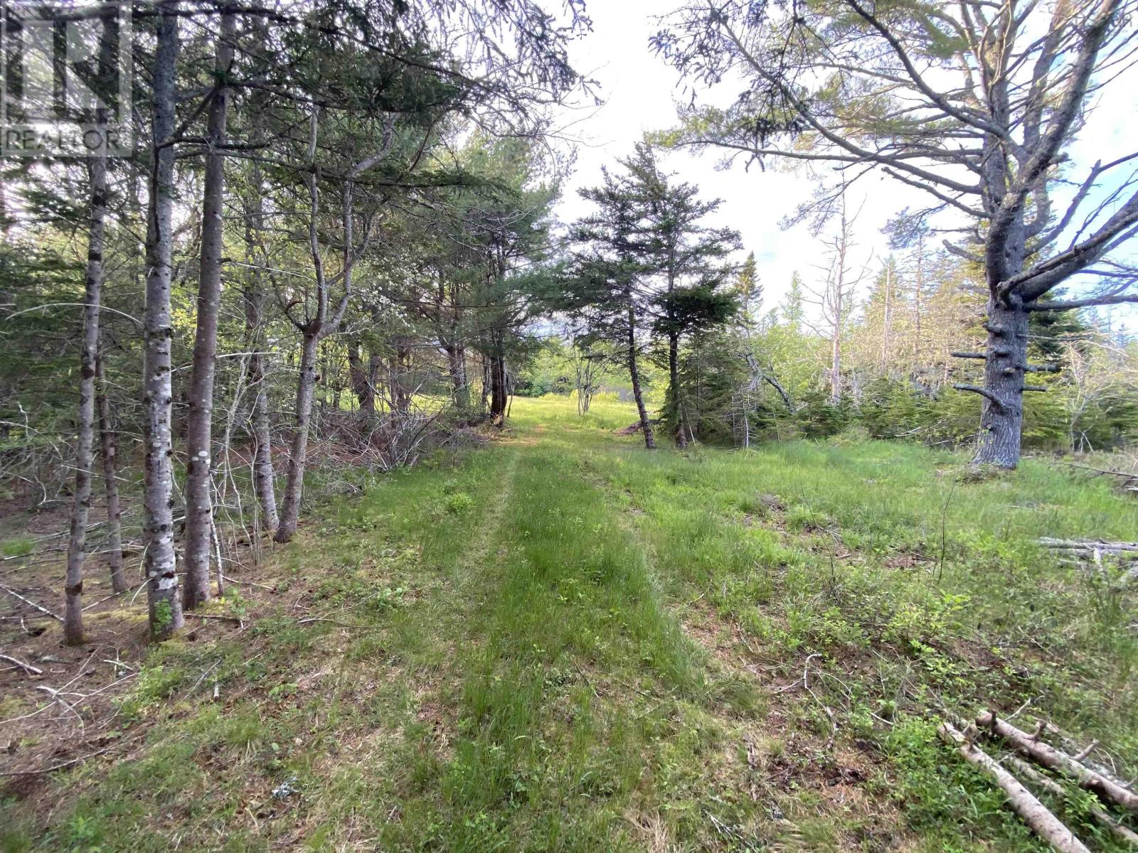 Lot 1 West Sable Road, West Middle Sable, Nova Scotia  B0T 1V0 - Photo 15 - 202415558