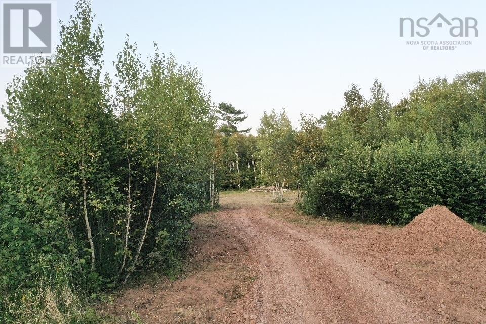 Acreage River Bend Lane, Balfron, Nova Scotia  B0K 1V0 - Photo 11 - 202415627