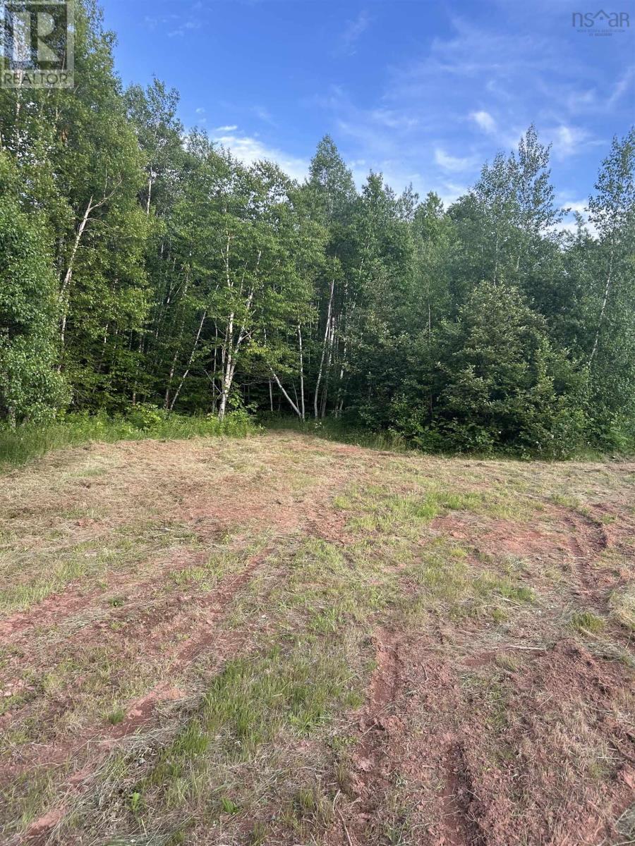 Acreage River Bend Lane, Balfron, Nova Scotia  B0K 1V0 - Photo 15 - 202415627