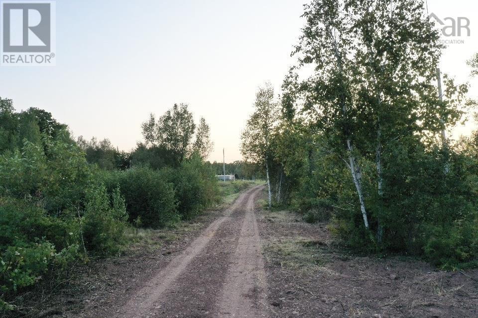 Acreage River Bend Lane, Balfron, Nova Scotia  B0K 1V0 - Photo 23 - 202415627