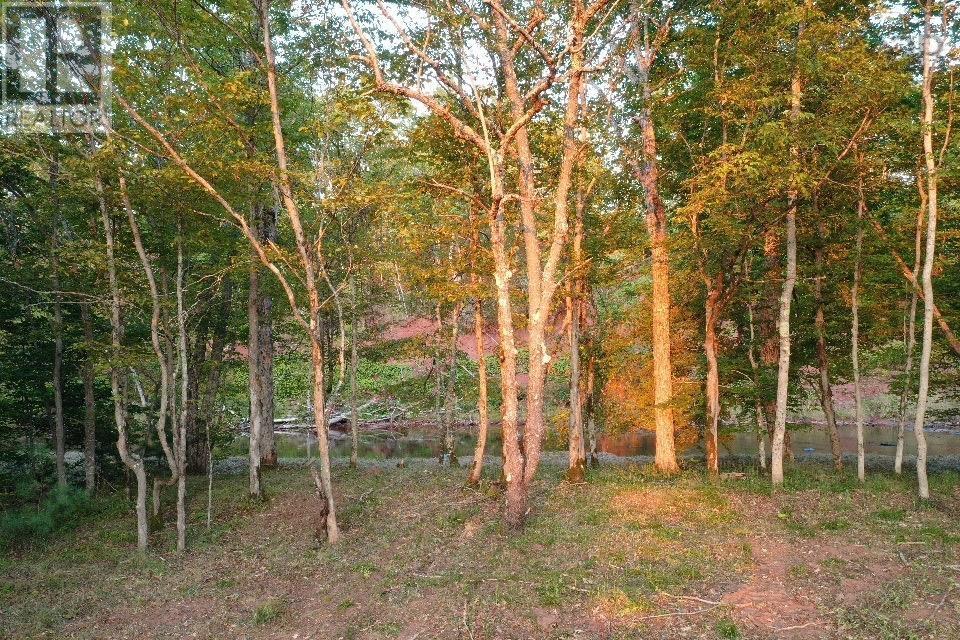 Acreage River Bend Lane, Balfron, Nova Scotia  B0K 1V0 - Photo 8 - 202415627