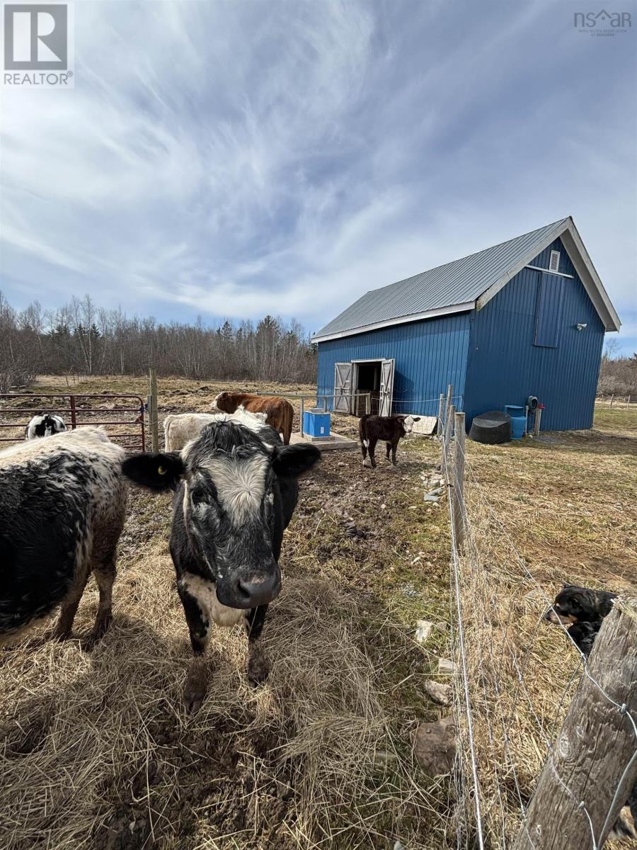 31 J Ramsey Road, Wittenburg, Nova Scotia  B0N 2J0 - Photo 33 - 202415633