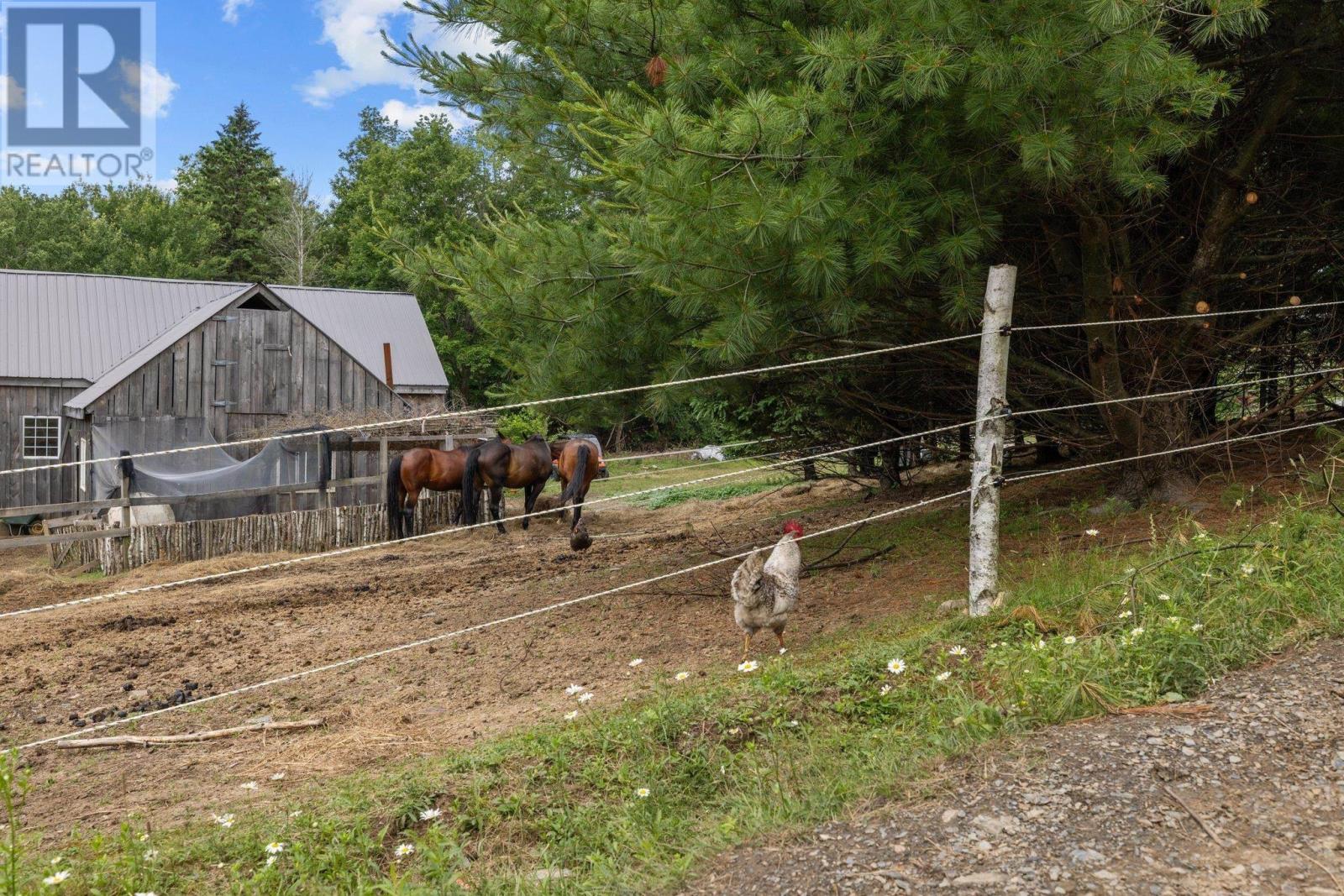 360 Meek Road, Centre Rawdon, Nova Scotia  B0N 2N0 - Photo 27 - 202415721