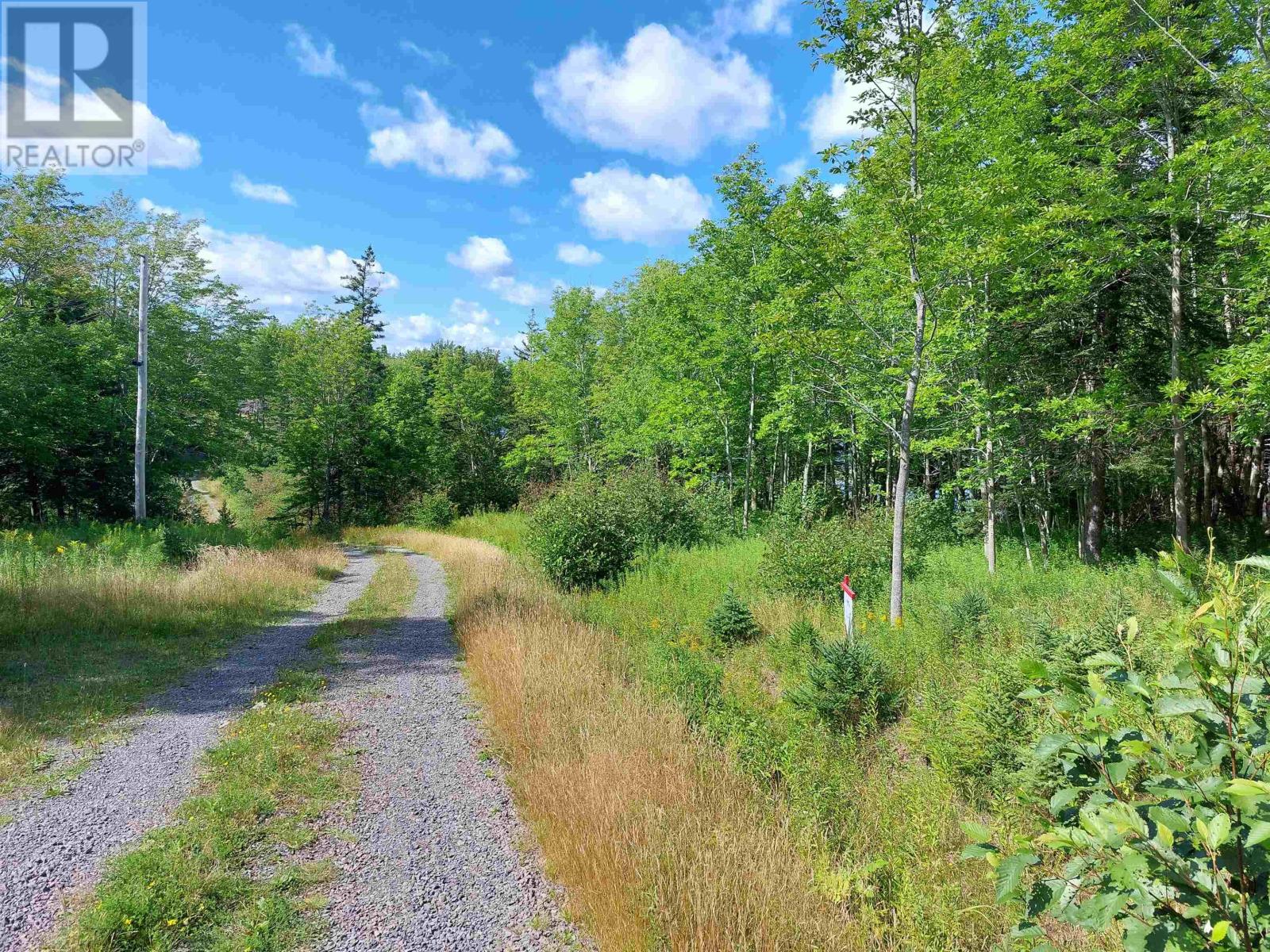 Lot 6 Macleods Pond Rd., Roberta, Nova Scotia  B0E 3K0 - Photo 12 - 202415820