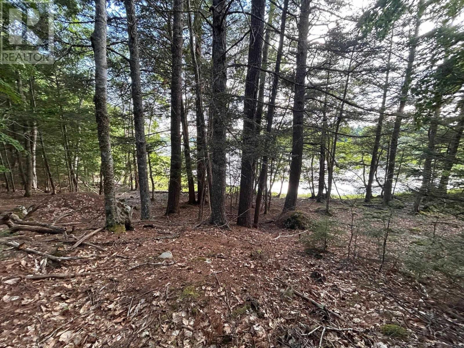 Lot 27 Maplesue Point Drive, Molega, Nova Scotia  B0T 1X0 - Photo 7 - 202415925