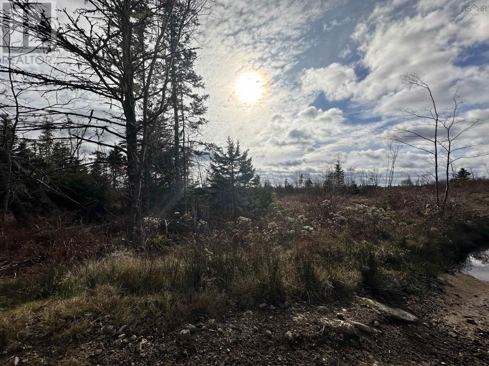 Lot Small Gains Road, Yarmouth, Nova Scotia  B0W 1B0 - Photo 11 - 202415928