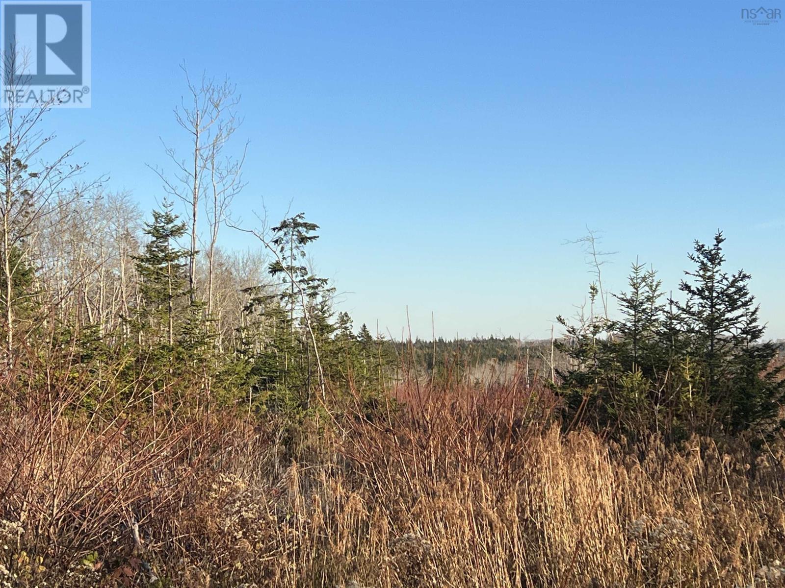 Lot Small Gains Road, Yarmouth, Nova Scotia  B0W 1B0 - Photo 8 - 202415928