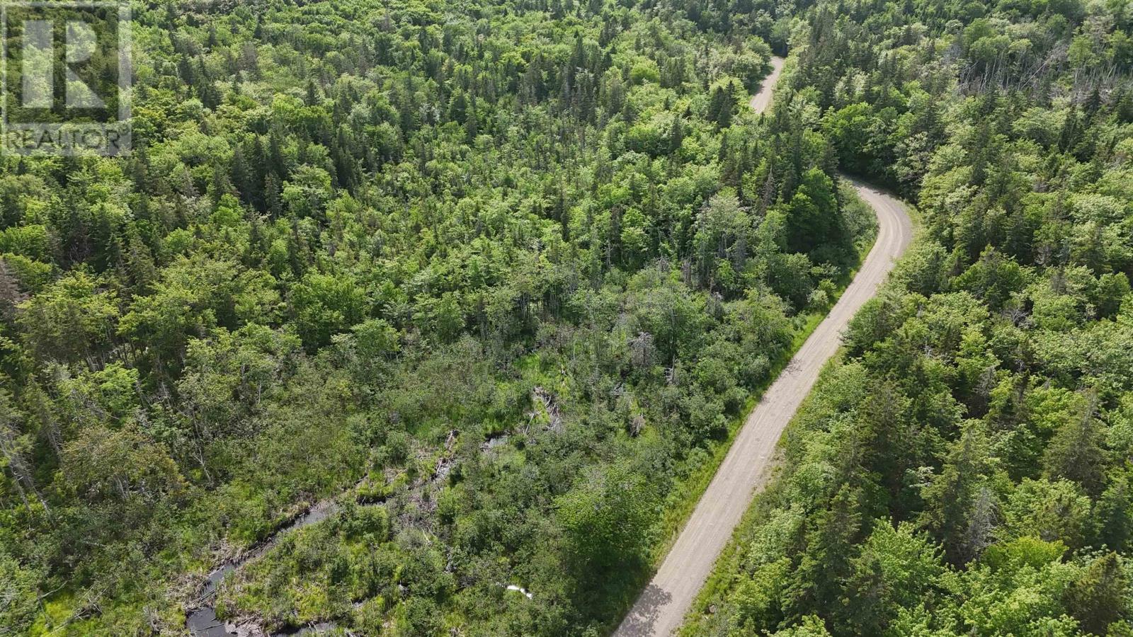 Highway 344, Mulgrave, Nova Scotia  B0E 2G0 - Photo 13 - 202415940