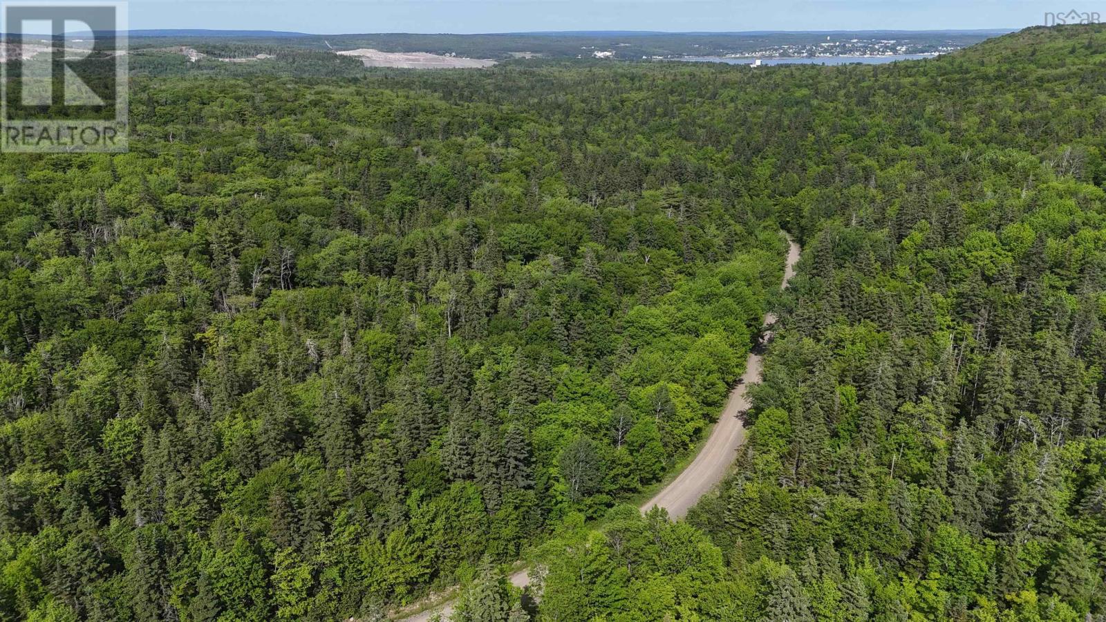 Highway 344, Mulgrave, Nova Scotia  B0E 2G0 - Photo 15 - 202415940