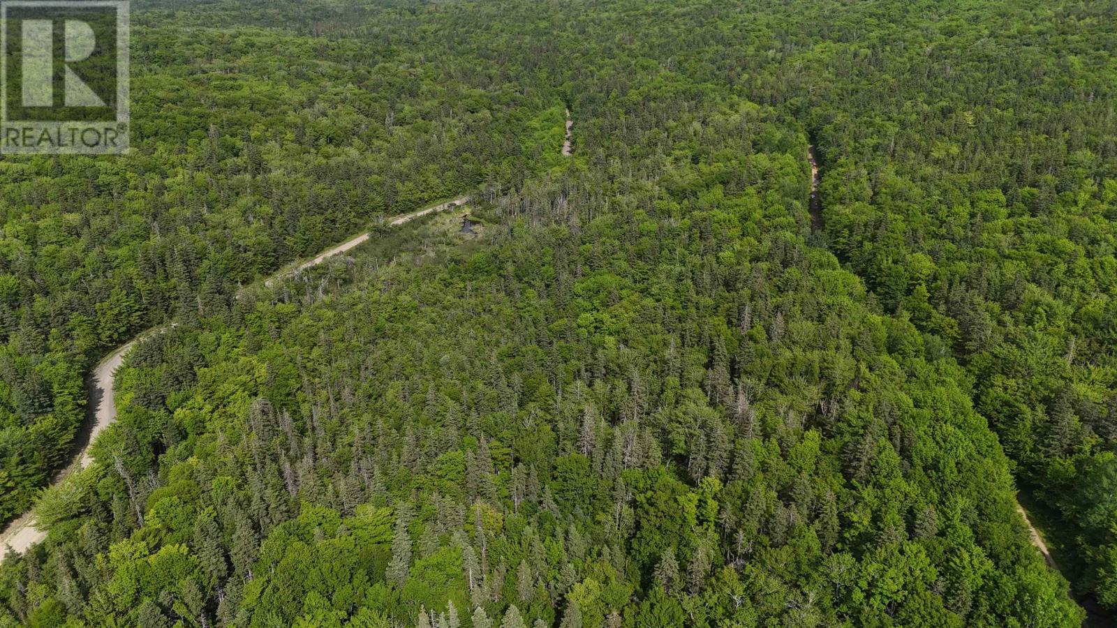 Highway 344, Mulgrave, Nova Scotia  B0E 2G0 - Photo 20 - 202415940