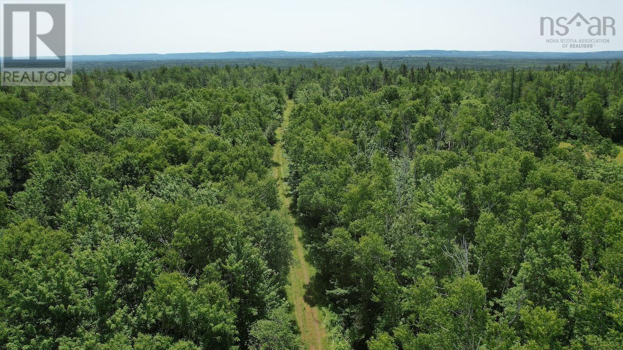 204 Highway, Streets Ridge, Nova Scotia  B0M 1P0 - Photo 12 - 202415954