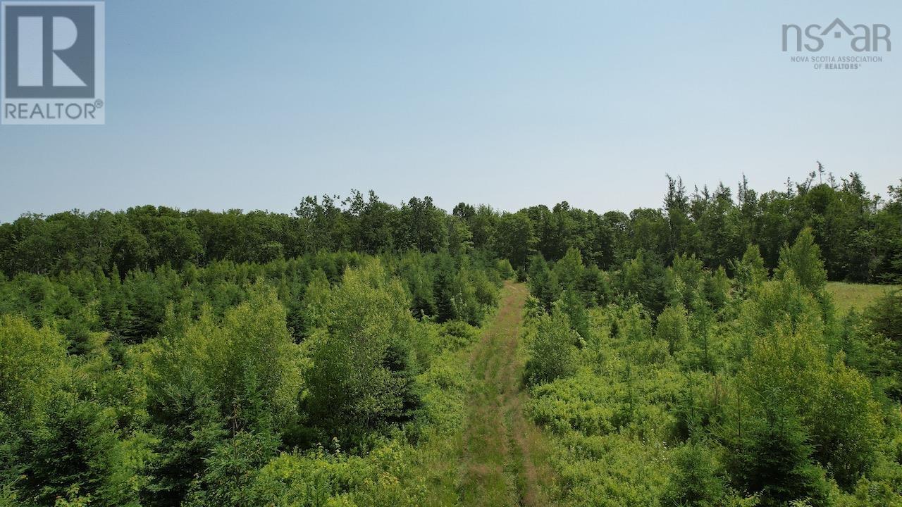 204 Highway, Streets Ridge, Nova Scotia  B0M 1P0 - Photo 15 - 202415954