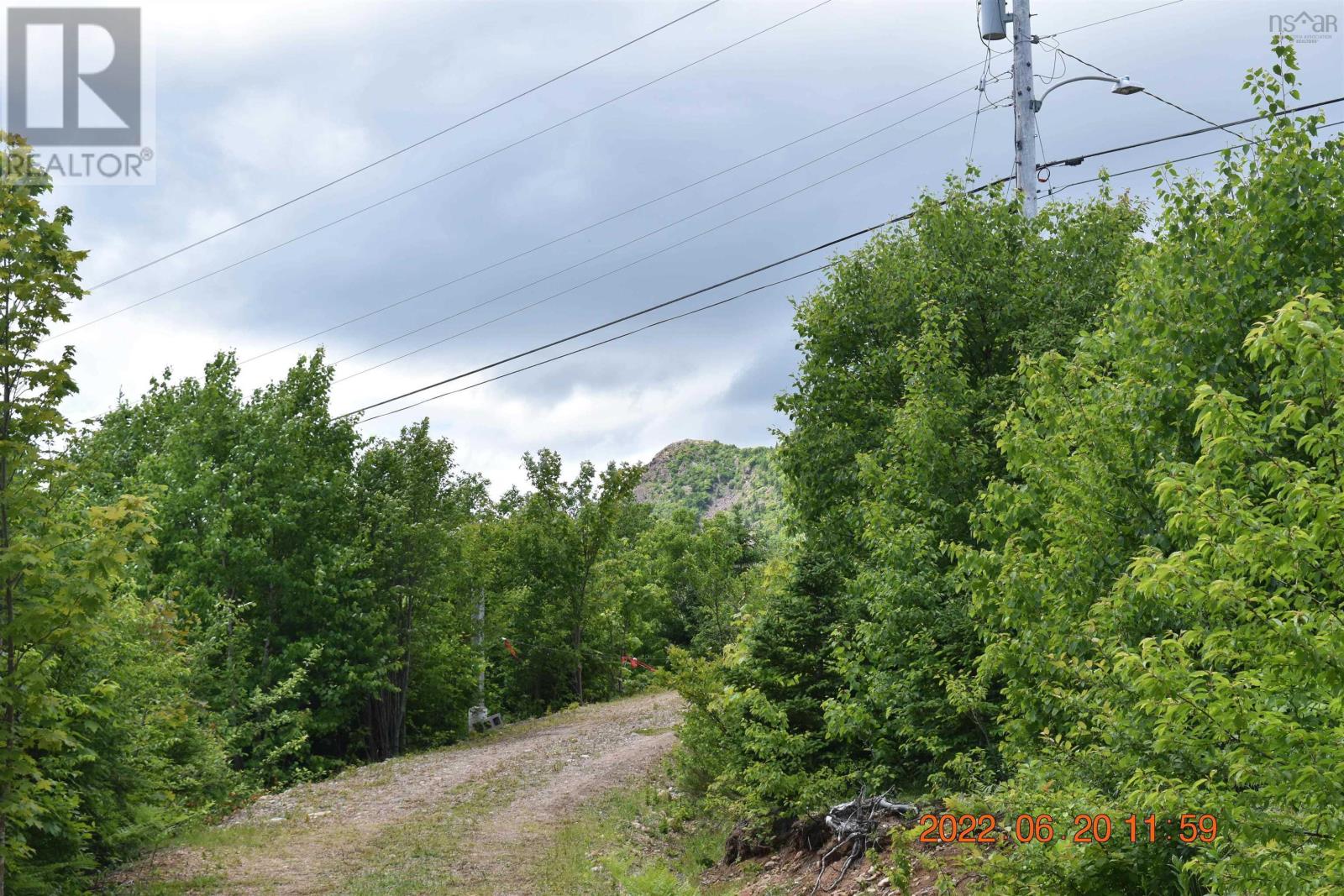 Bay St Lawrence Road, Aspy Bay, Nova Scotia  B0C 1G0 - Photo 19 - 202415983