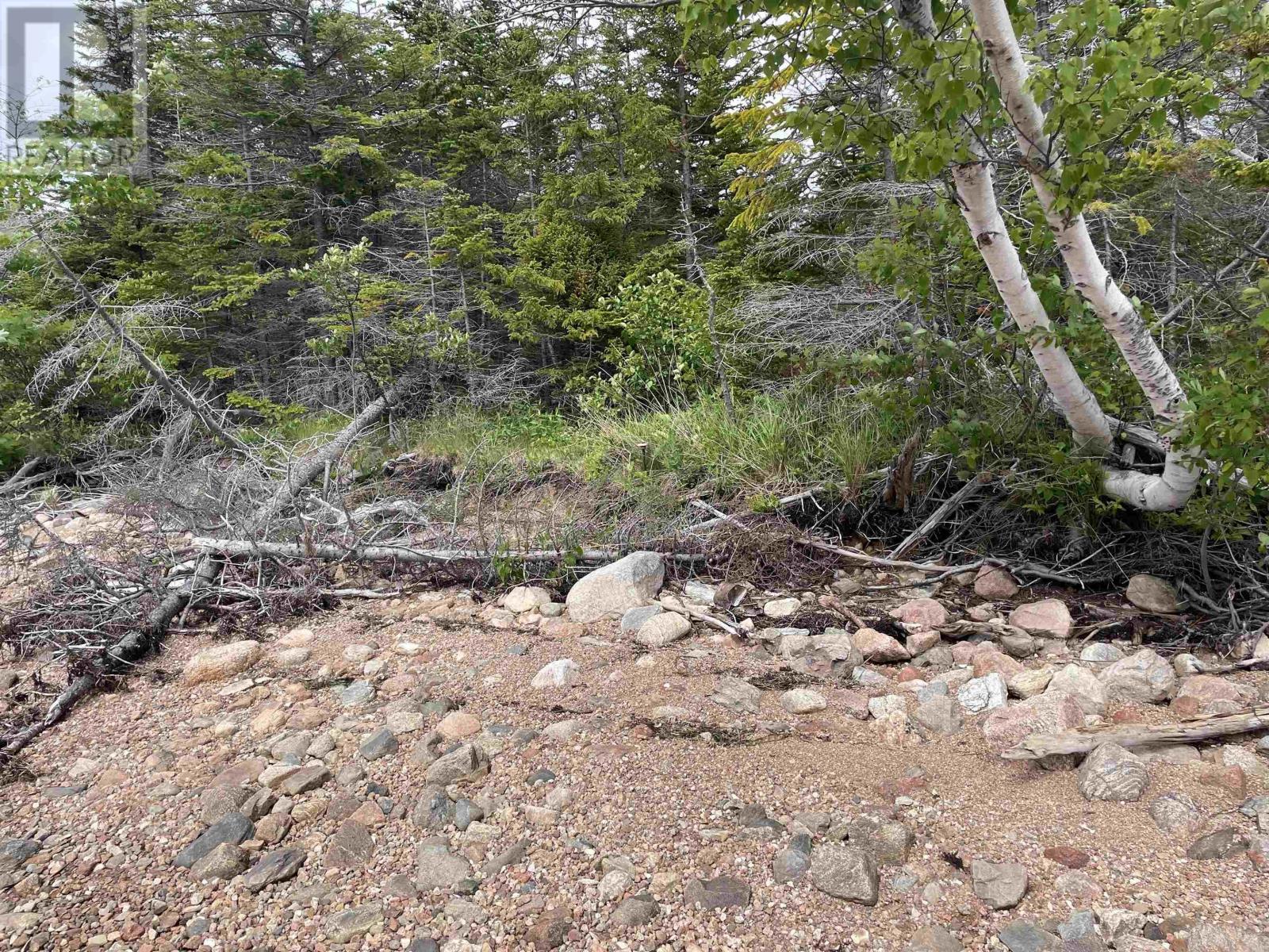 Bay St Lawrence Road, Aspy Bay, Nova Scotia  B0C 1G0 - Photo 27 - 202415983