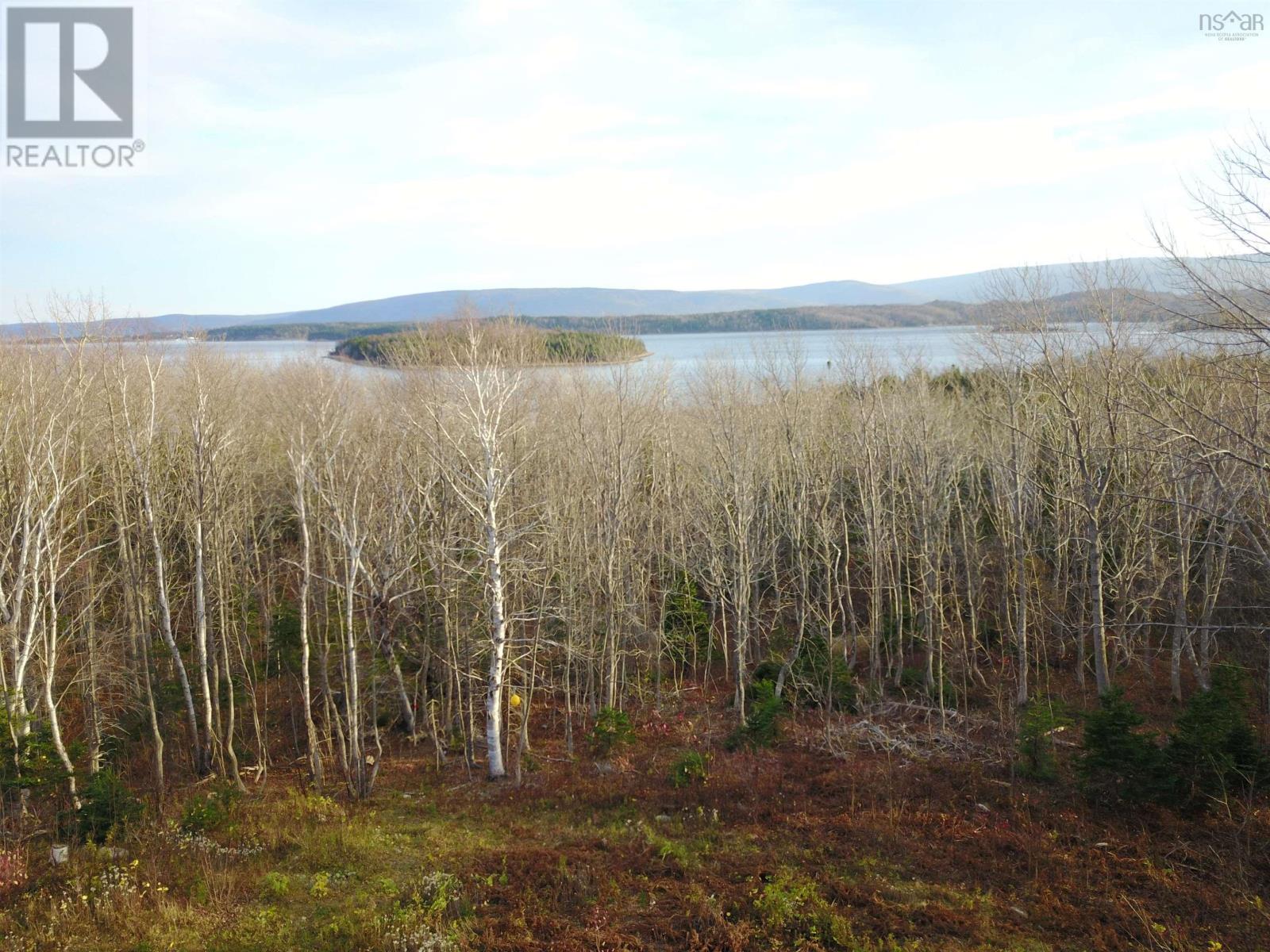 Bay St Lawrence Road, Aspy Bay, Nova Scotia  B0C 1G0 - Photo 3 - 202415983