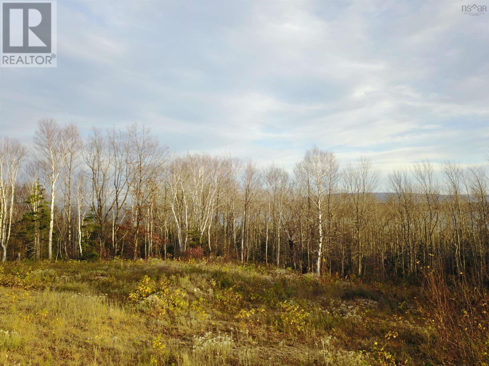 Bay St Lawrence Road, Aspy Bay, Nova Scotia  B0C 1G0 - Photo 30 - 202415983