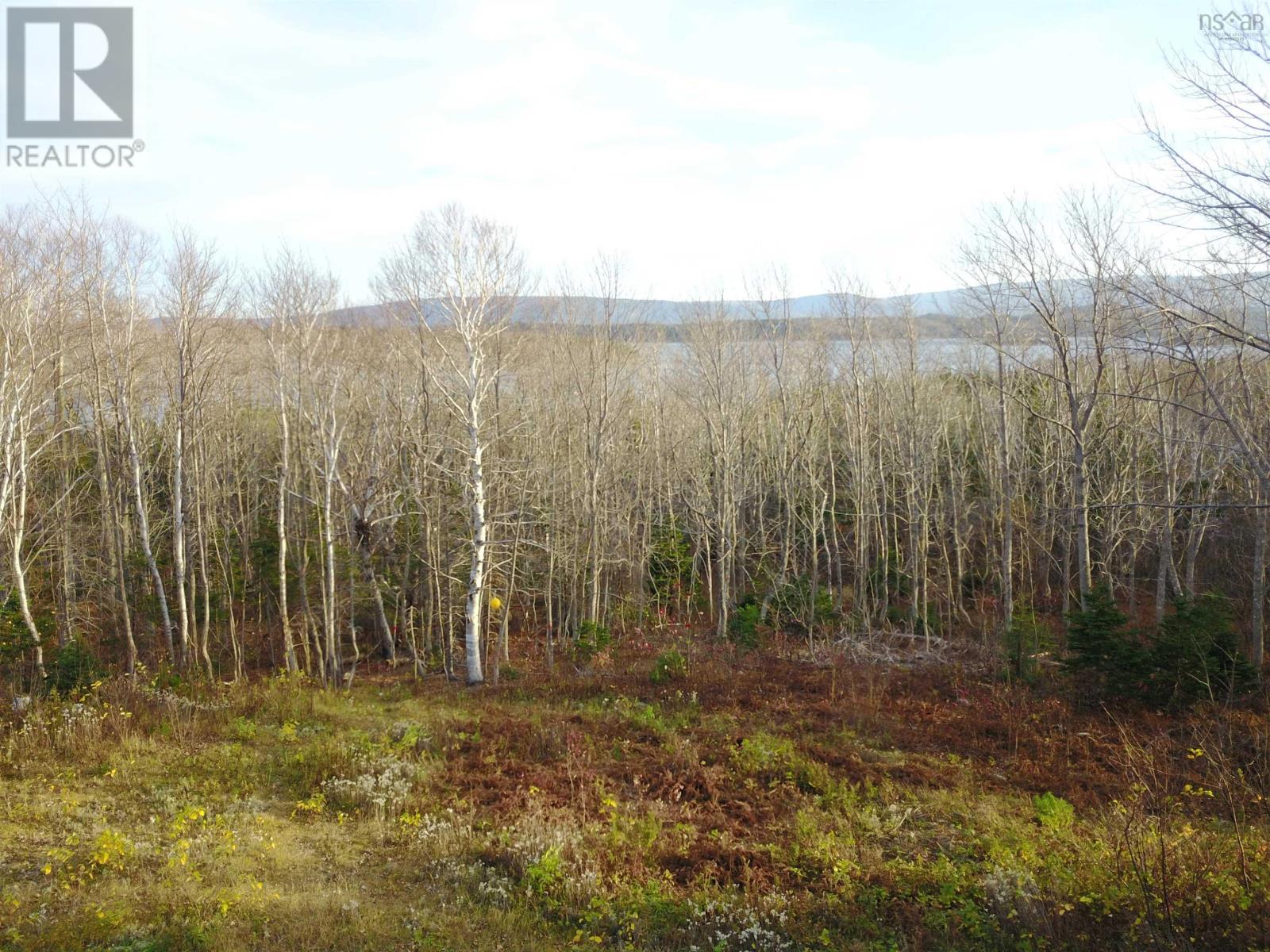 Bay St Lawrence Road, Aspy Bay, Nova Scotia  B0C 1G0 - Photo 31 - 202415983