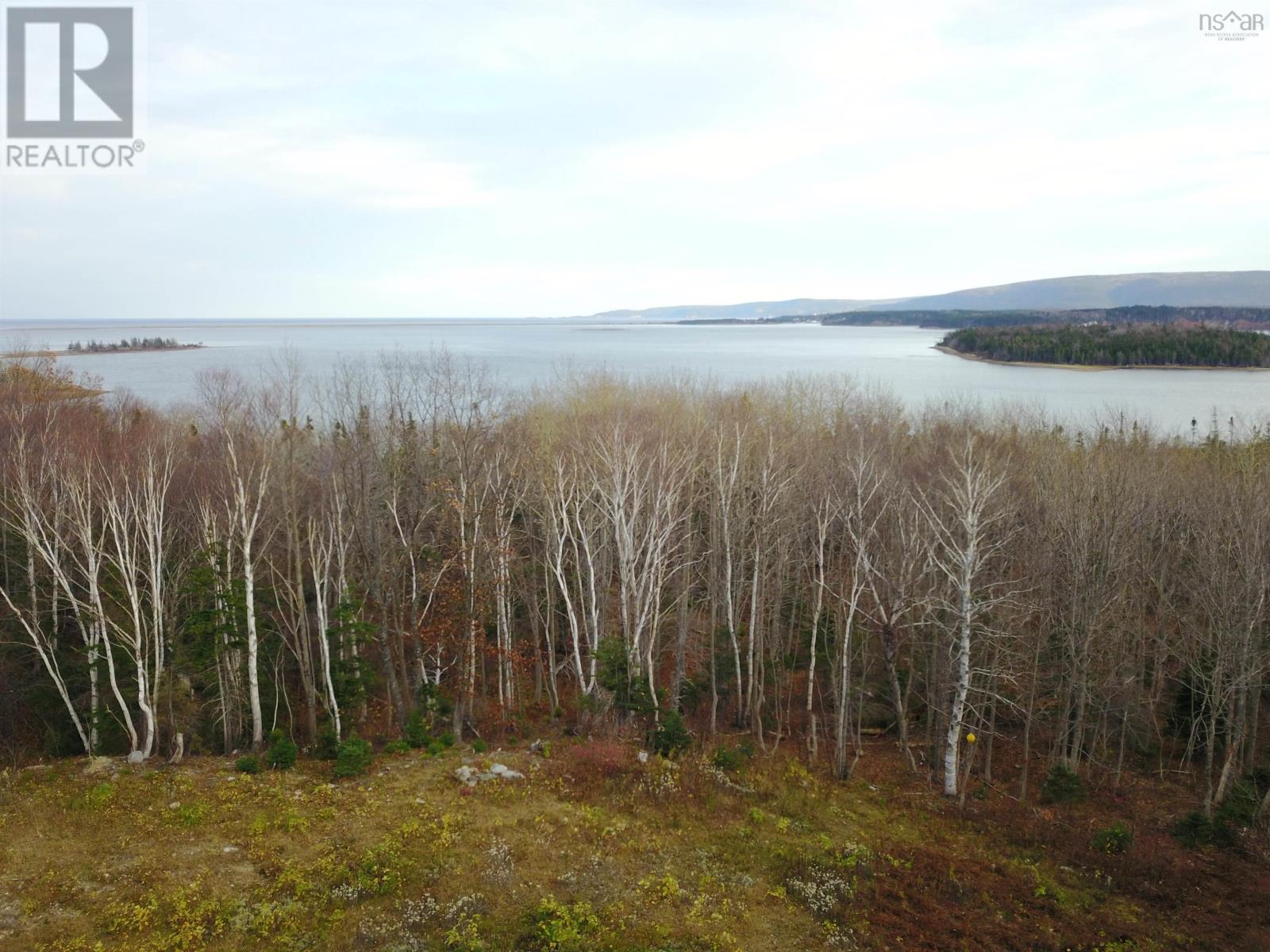 Bay St Lawrence Road, Aspy Bay, Nova Scotia  B0C 1G0 - Photo 34 - 202415983