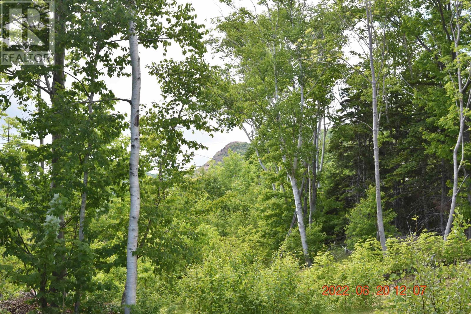 Bay St Lawrence Road, Aspy Bay, Nova Scotia  B0C 1G0 - Photo 9 - 202415983