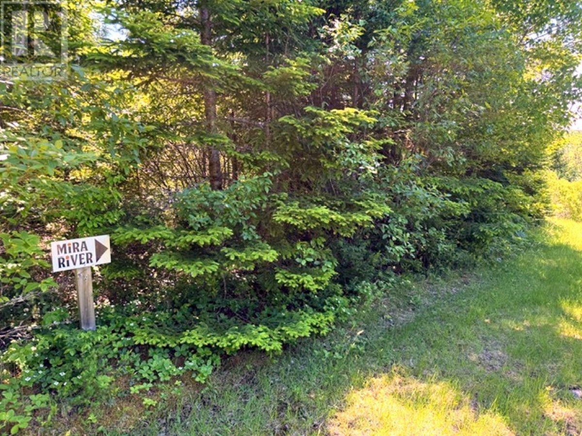 74 Jack Daniels Lane, Juniper Mountain, Nova Scotia  B1K 0C2 - Photo 17 - 202416004