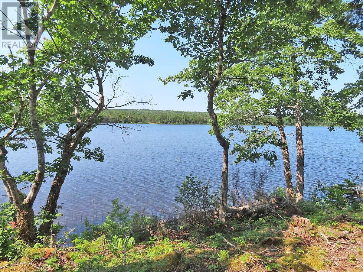 Lot 7 Theresa, Third Lake Lane, Grande Anse, Nova Scotia  B0E 1V0 - Photo 3 - 202416042