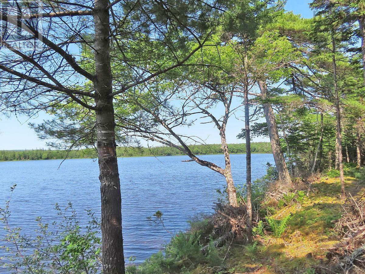 Lot 7 Theresa, Third Lake Lane, Grande Anse, Nova Scotia  B0E 1V0 - Photo 4 - 202416042