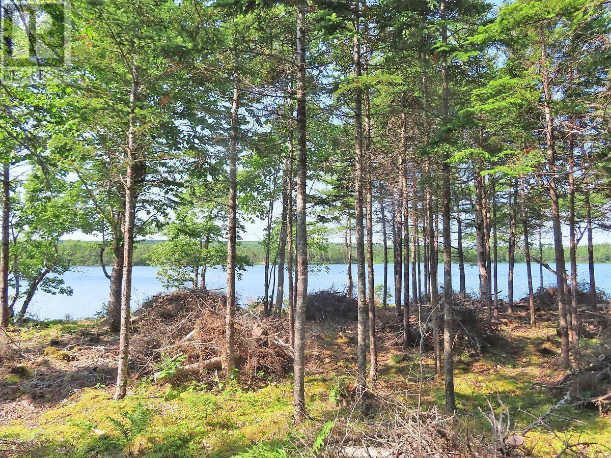 Lot 7 Theresa, Third Lake Lane, Grande Anse, Nova Scotia  B0E 1V0 - Photo 8 - 202416042