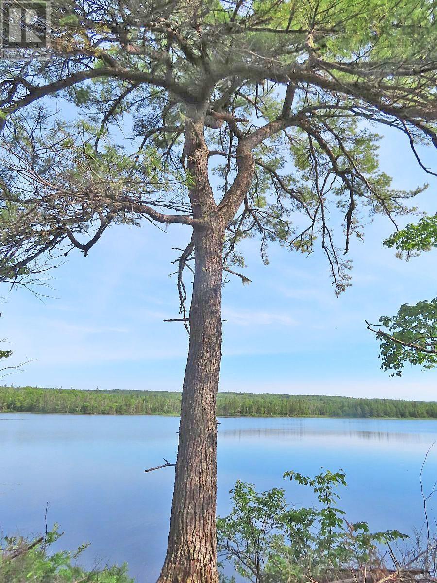 Lot 7 Theresa, Third Lake Lane, Grande Anse, Nova Scotia  B0E 1V0 - Photo 9 - 202416042