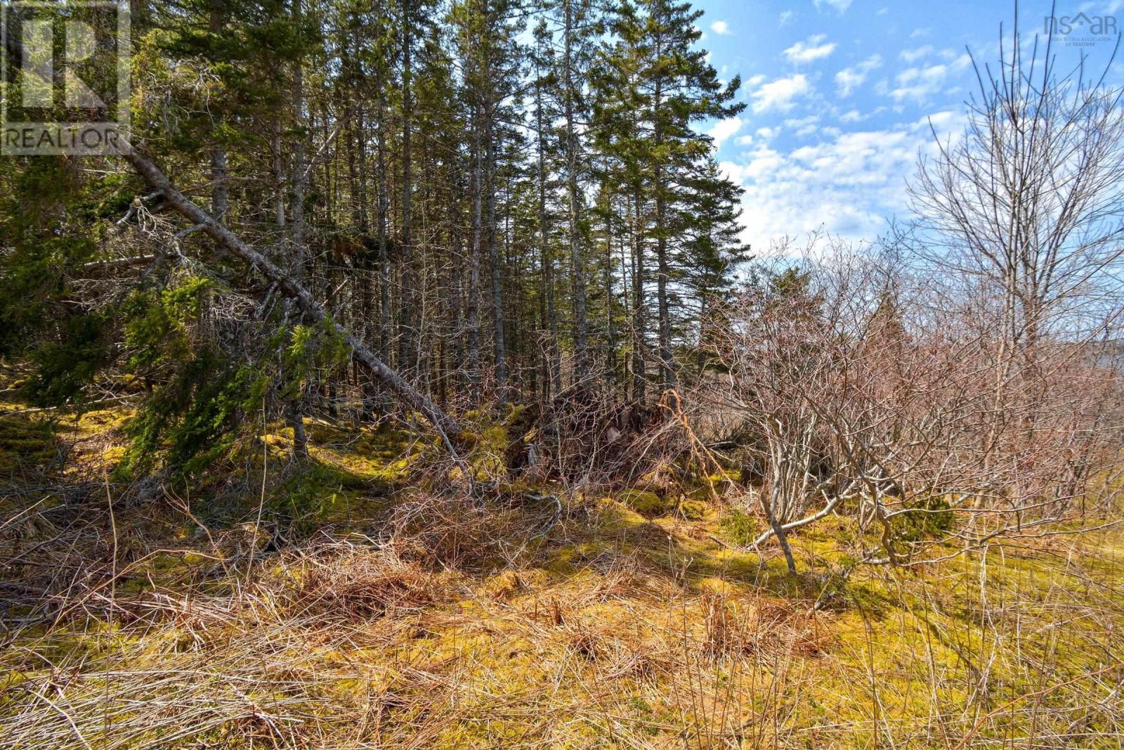 Enoch Road, Loch Lomond, Nova Scotia  B1H 4N4 - Photo 40 - 202416047