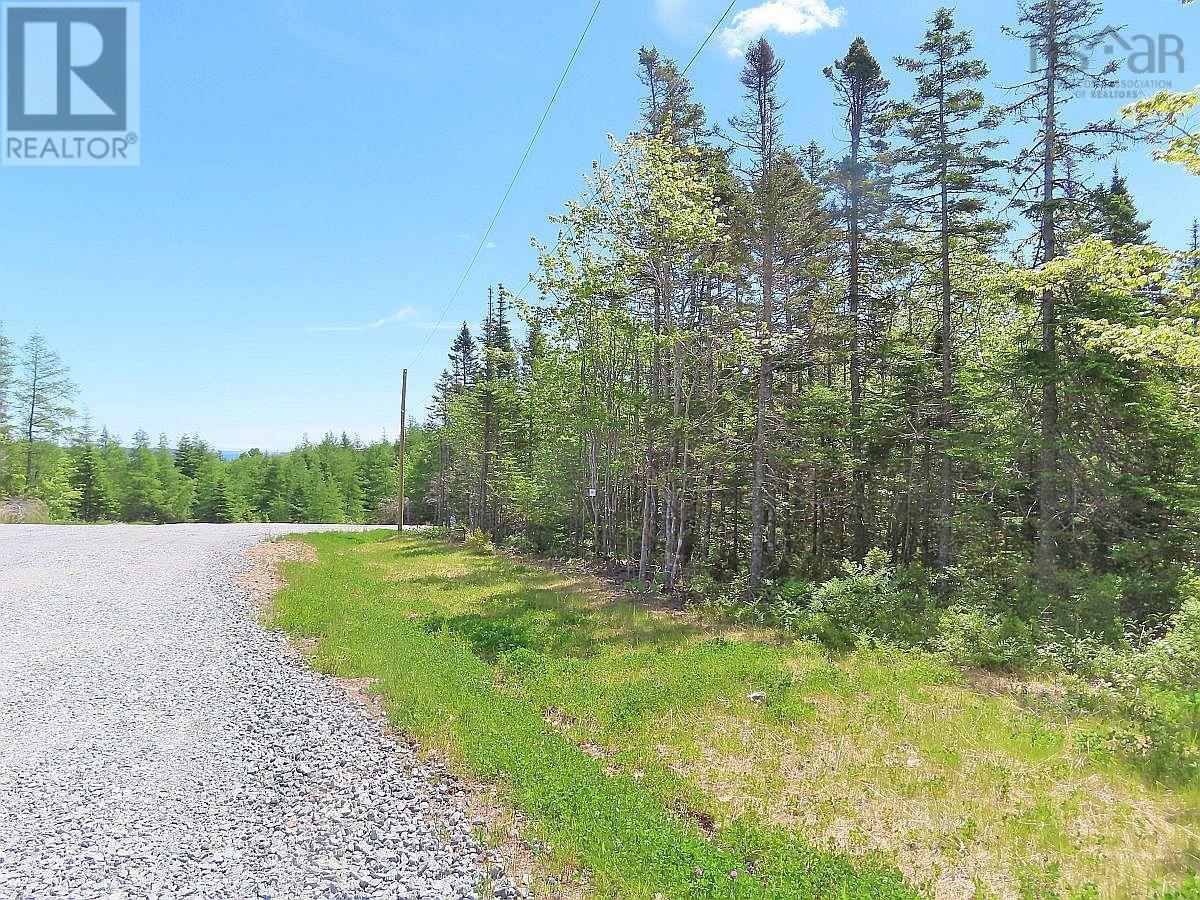 Lot 2 Perry Lane, Lennox Passage, Nova Scotia  B0E 1K0 - Photo 10 - 202416052