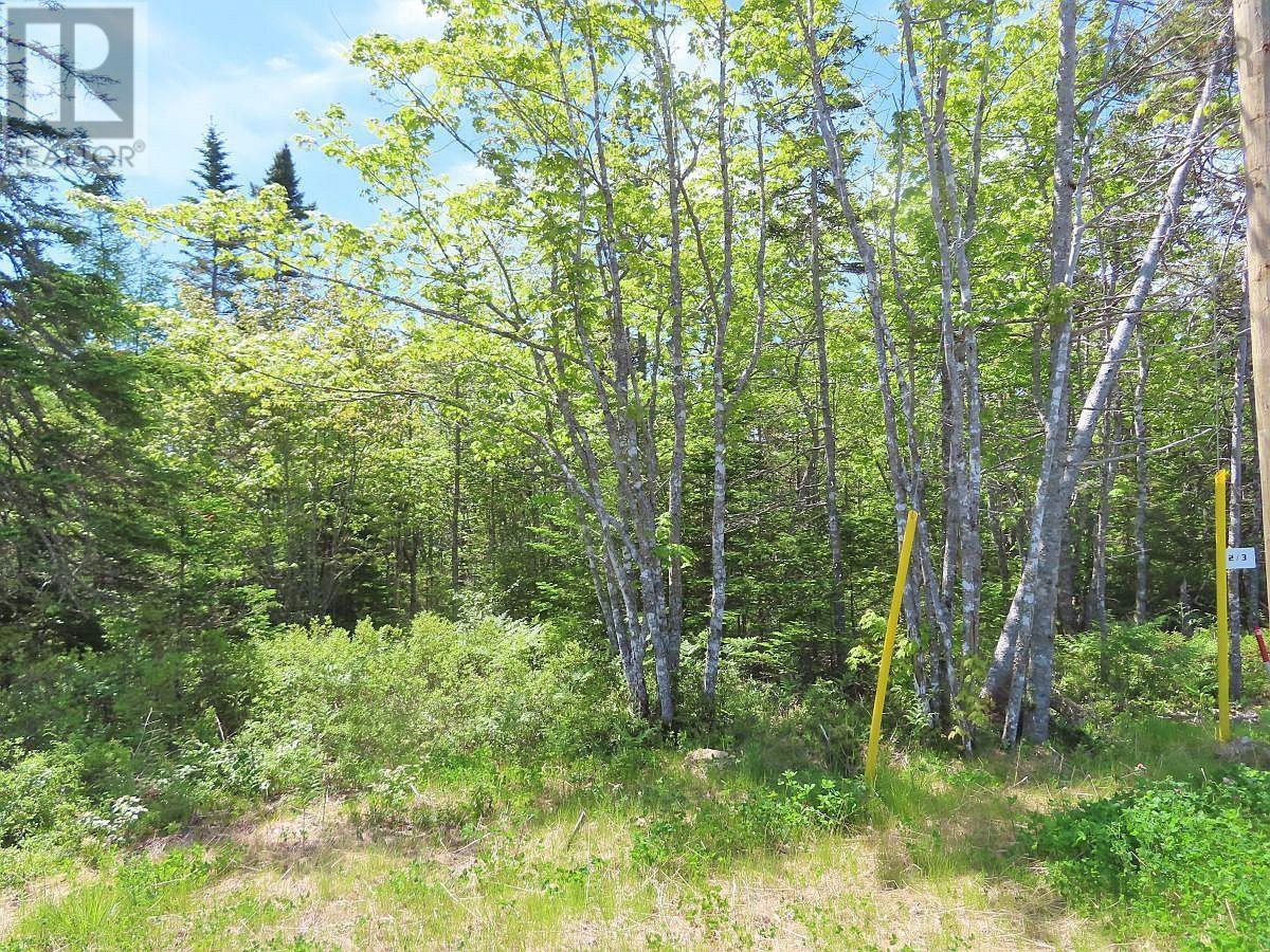 Lot 2 Perry Lane, Lennox Passage, Nova Scotia  B0E 1K0 - Photo 11 - 202416052