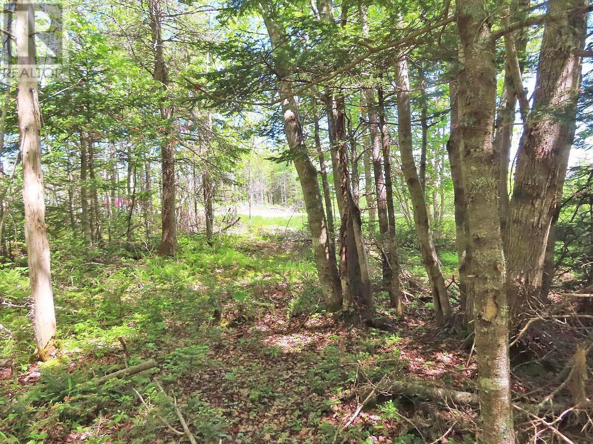 Lot 2 Perry Lane, Lennox Passage, Nova Scotia  B0E 1K0 - Photo 13 - 202416052