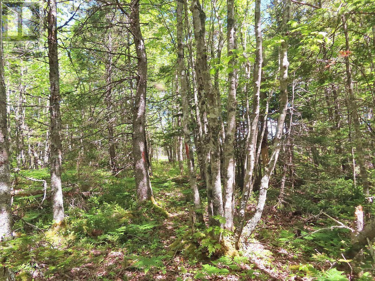 Lot 2 Perry Lane, Lennox Passage, Nova Scotia  B0E 1K0 - Photo 14 - 202416052