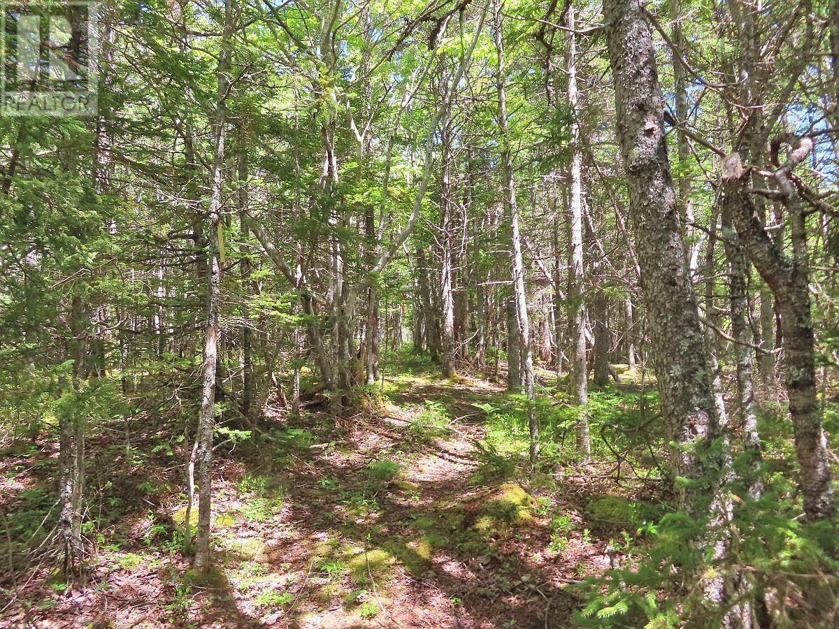 Lot 2 Perry Lane, Lennox Passage, Nova Scotia  B0E 1K0 - Photo 15 - 202416052