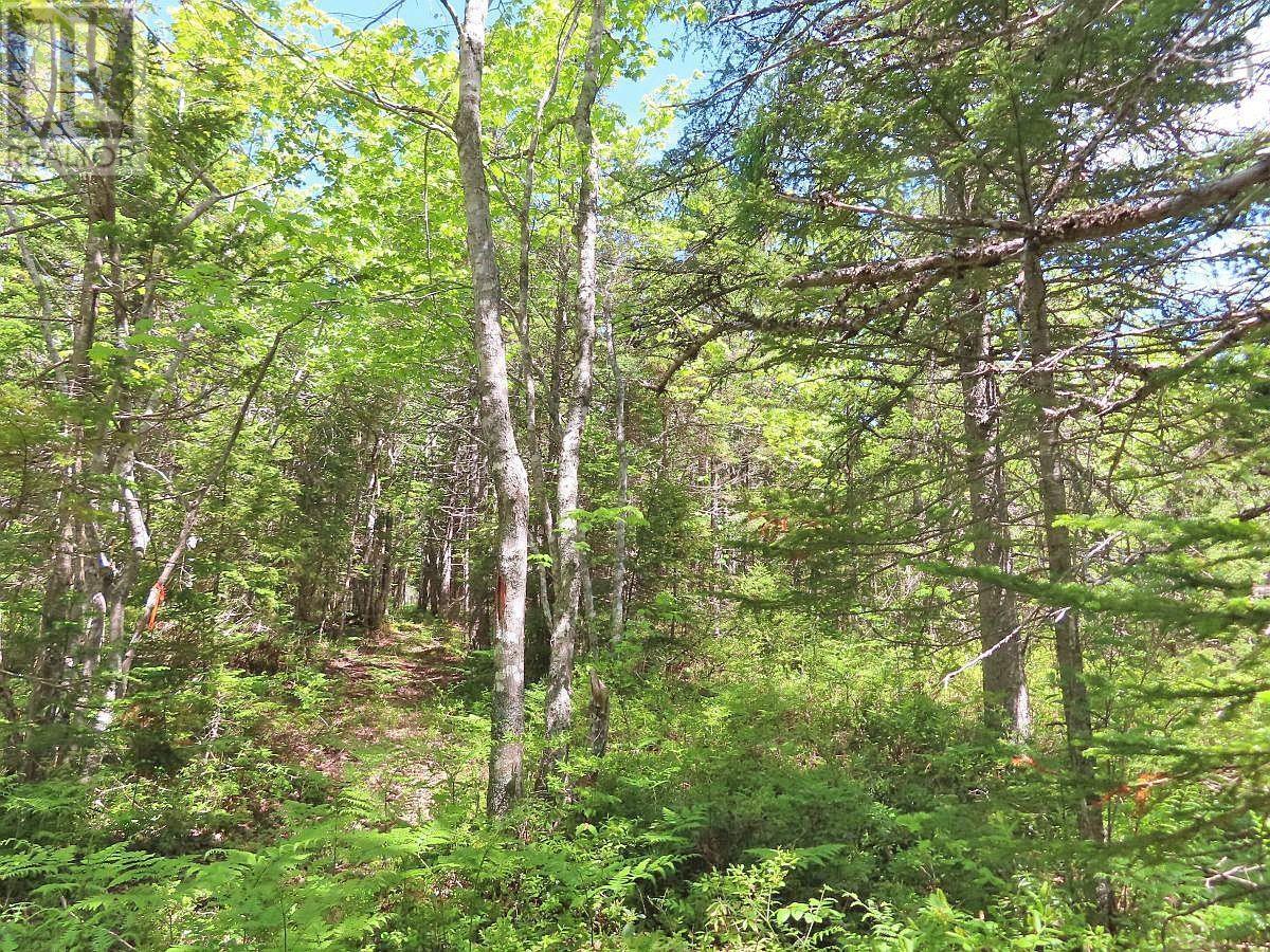 Lot 2 Perry Lane, Lennox Passage, Nova Scotia  B0E 1K0 - Photo 16 - 202416052