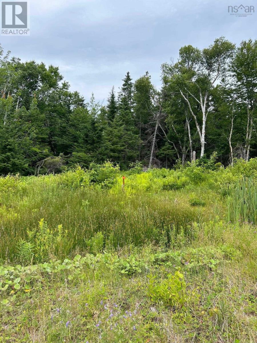 Lot 30 Militia Point Road, Militia Point, Nova Scotia  B0E 2Y0 - Photo 21 - 202416124