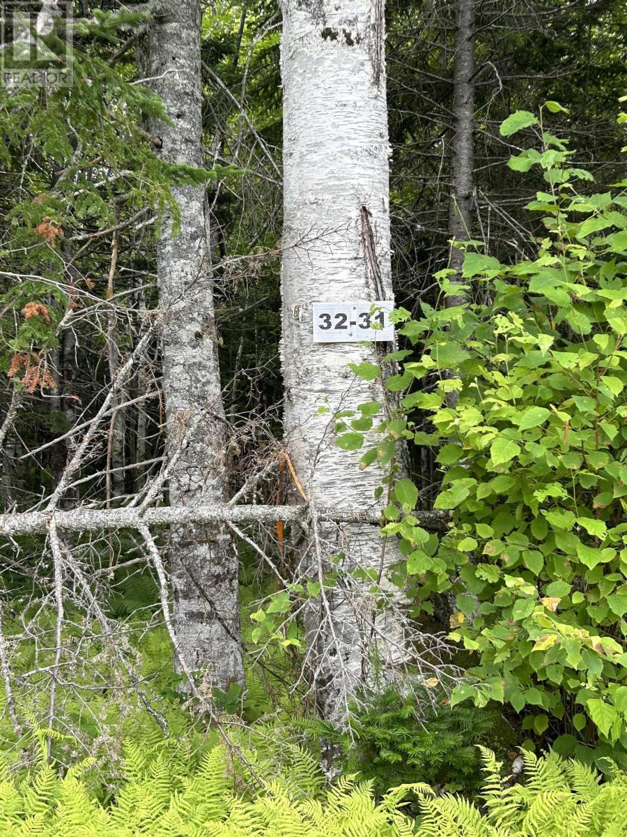 Lot 31 Militia Point Road, Militia Point, Nova Scotia  B0E 2Y0 - Photo 25 - 202416125