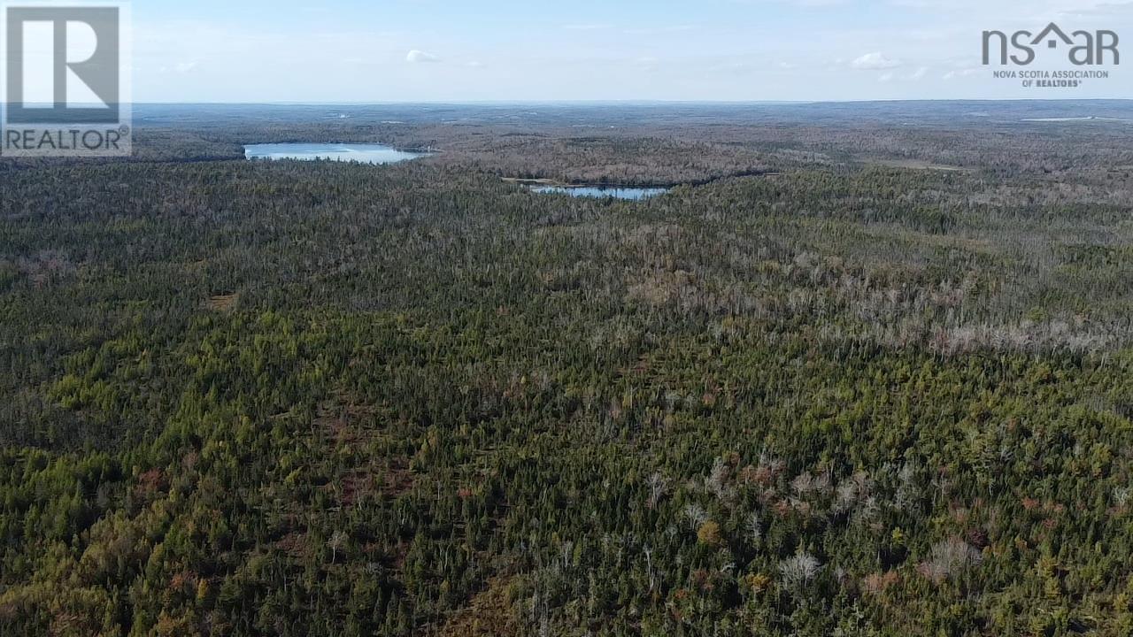 Lot 1 Shaw Big Lake, Murchyville, Nova Scotia  B0N 1X0 - Photo 10 - 202416129