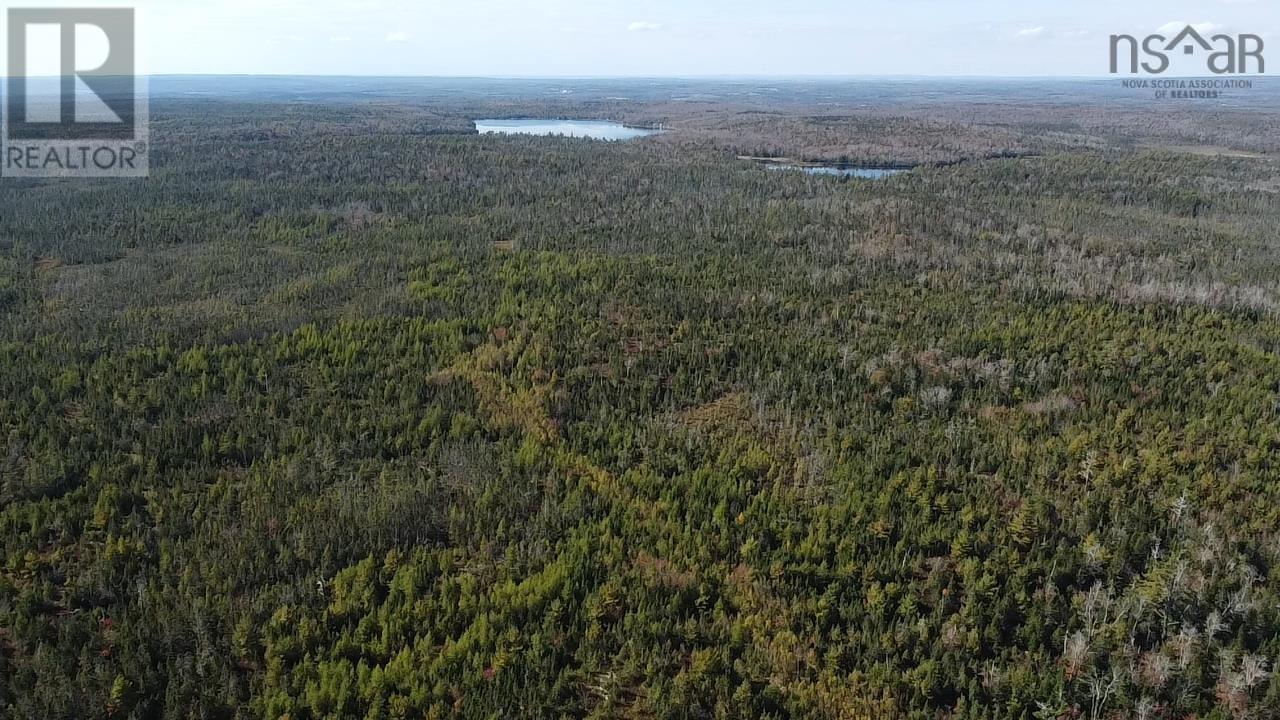 Lot 1 Shaw Big Lake, Murchyville, Nova Scotia  B0N 1X0 - Photo 11 - 202416129