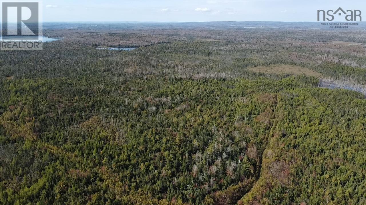 Lot 1 Shaw Big Lake, Murchyville, Nova Scotia  B0N 1X0 - Photo 9 - 202416129